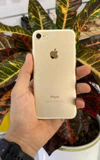 iphone 7