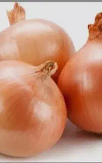 کار پیاز