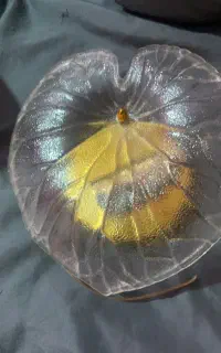 لوستر دیواری