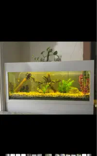 اکواریوم شیشه 10میلی