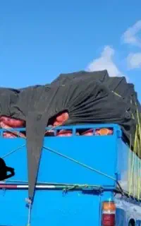 باربری بدون کارگرخودم کمک میکنم.منصفانه.درون شهری