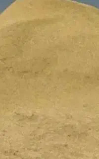 کاه جو