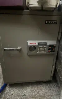 گاو صندوق ایکو ژاپن