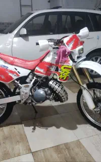 crm250