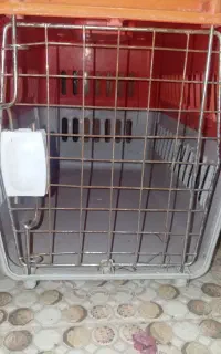 باکس سگ