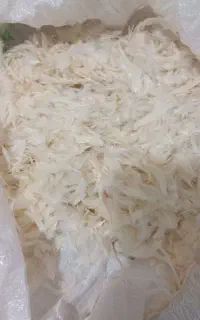 پر مرغ