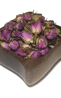 غنچه گل محمدی