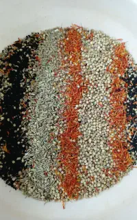 ادویه جات ودارو گیاهی نوین