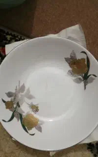 ظروف چینی