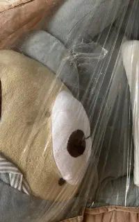 تشک وپتو گاردارخرسی