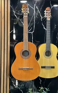 گیتار PARSI P40