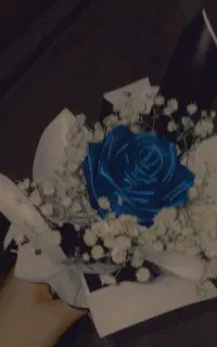 رز ماه