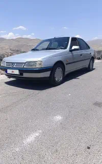 پژو405 داخل کرم
