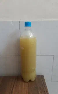 آبغوره تازه