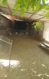 ایلام روستای چشمه کبود