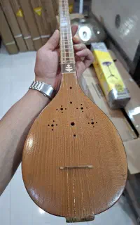 سه تار حرفه‌ای