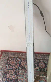 لامپ. پروژکتور رشد گیاه