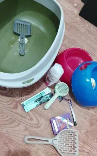 لوازم نگهداری گربه به قیمت کم