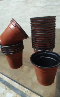 گلدان ژله ای uv سایز 6 تعداد 900 عدد