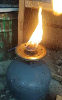 پیکنیک