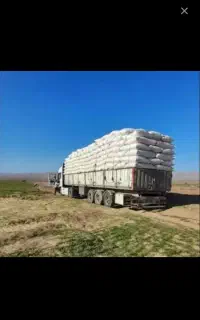 خریدارم کاه داز درو هستم
