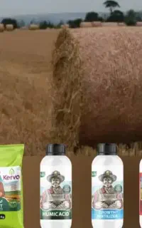 جایگزین کود های شیمیایی و اوره (بار بیشتر)