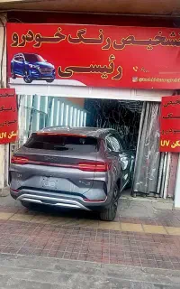 تشخیص رنگ رئیسی
