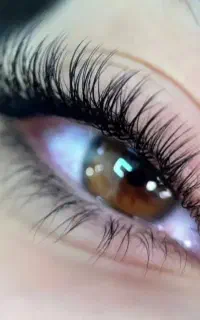 آموزش اکستنشن مژه با ۵۰ درصد تخفیف