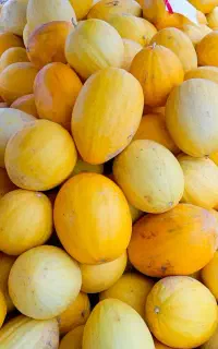 خربزه شیرین فقط 12هزاز