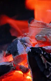 ذغال درجه یک بدون خاکه + ارسال رایگان