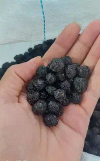 آلبالو خشک