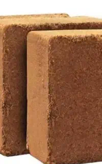 فروش کوکوپیت