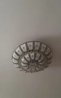 لوستر زیبا درحد نو