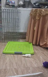 پارک وسینی ادرار سگ