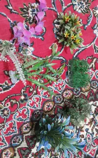 آکواریوم سالم به همراه تمام وسایل و تزئینات