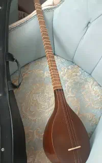 سه تار با هارد کیس