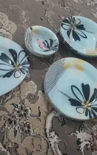 سرویس ارکوپال ۶نفره