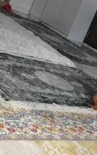 فرش و پادری