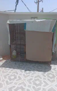 قفس کبوتر