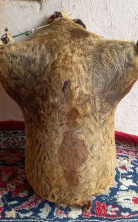 هیزه جا روغن