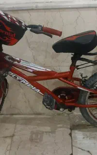 دوچرخه 20