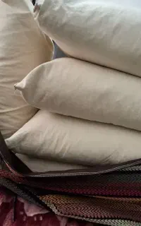 بالش