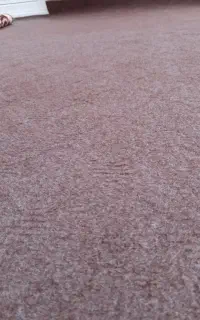 موکت ۱۲ متری