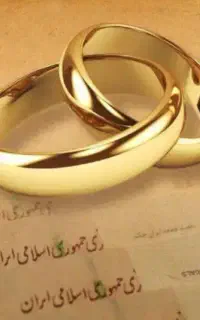 ضامن میشم