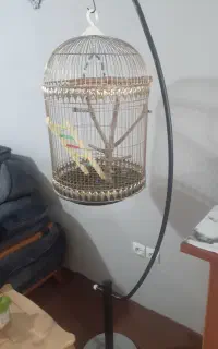 قفس وپایه