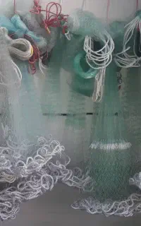 تورماهیگیری