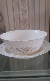 فروش آرکوپال گل ویکتوریا در حد نو