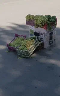 انگور بش درجه ۱