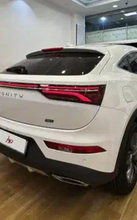 دیگنیتی پرایم 1404مارون