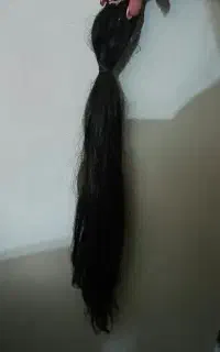 موطبیعی